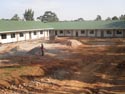 Abaana - Strathearn Primary School